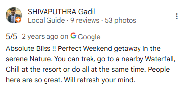 Google Review